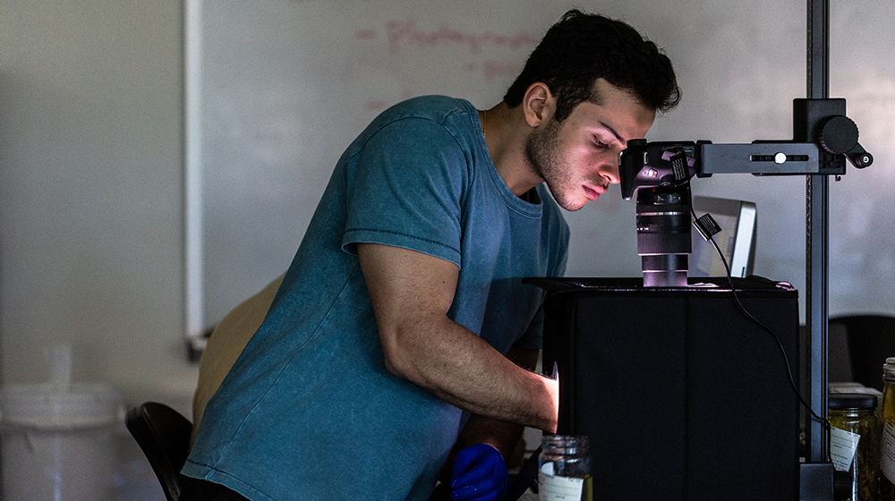 Student looking into a microscope